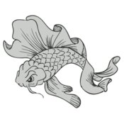 Koi Fish 5