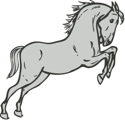 Animals   Horse 2