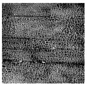 Texture Patterns Crackle 6