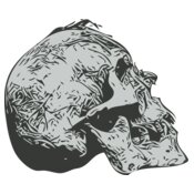 Skull 44