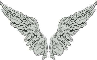 Wings 40