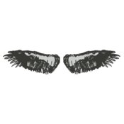 Wings 11
