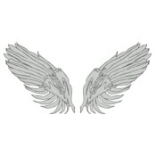 Wings 36