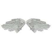 Wings 34