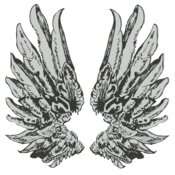 Wings 1