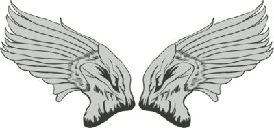 Wings 39