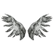 Wings 24