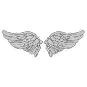 Wings 41