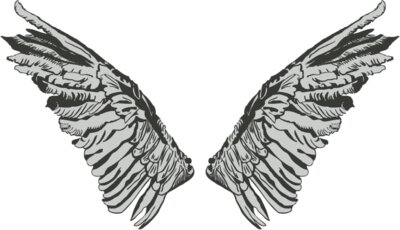 Wings 32