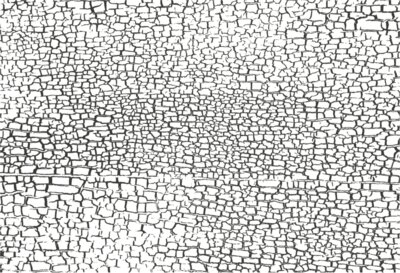 Texture Patterns Crackle 12