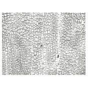 Texture Patterns Crackle 19