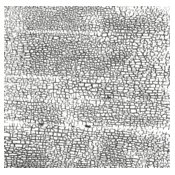 Texture Patterns Crackle 9