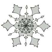 Snowflake ME 6