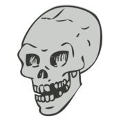 Skull 13