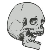 Skull 16