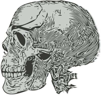 Skull 43