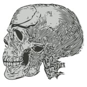 Skull 43