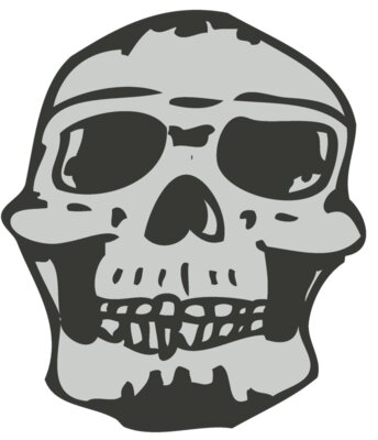 Skull 34