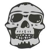 Skull 34