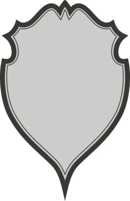 Shield 41