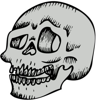Skull 25