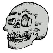 Skull 25