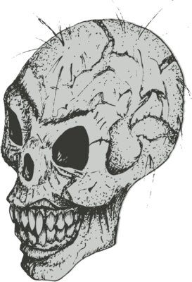 Stylized Skull 14