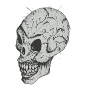 Stylized Skull 14