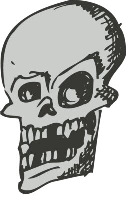 Skull 18