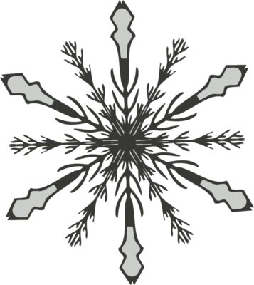 Snowflake ME 8