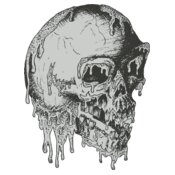 Stylized Skull 2