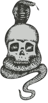Skull 27
