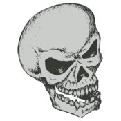 Stylized Skull 13