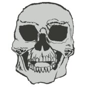 Hand Drawn Skull 14