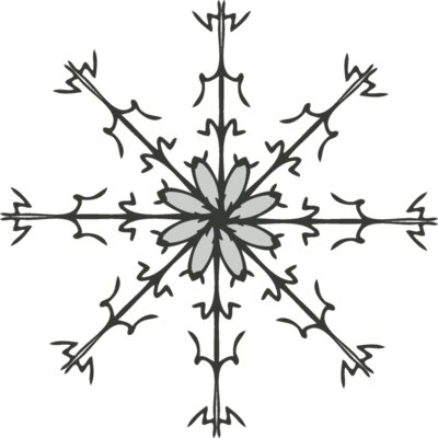Snowflake ME 24