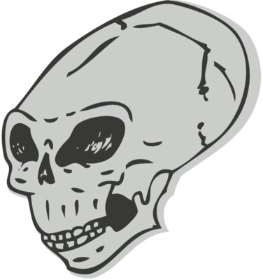 Skull 37