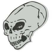 Skull 37