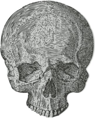 Medical Skull 2