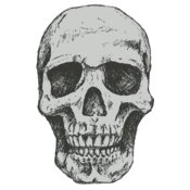 Stylized Skull 7