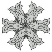Snowflake ME 58
