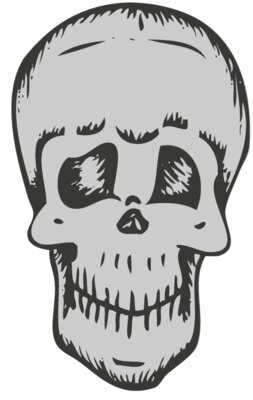 Skull 29