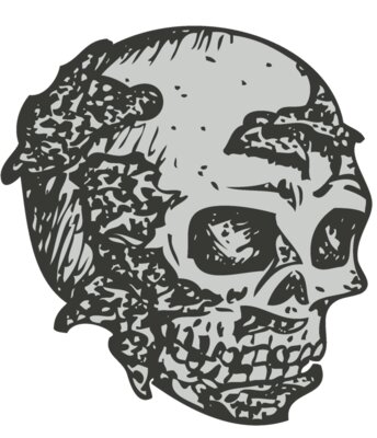 Skull 35