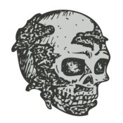 Skull 35