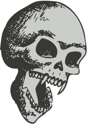 Skull 26