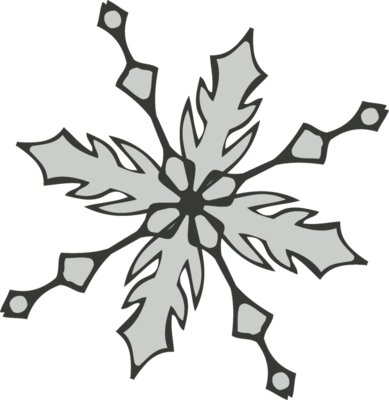 Snowflake ME 76