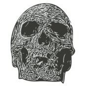Skull 40