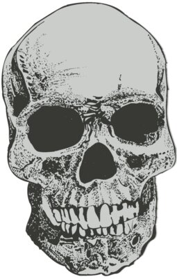 Skull 51