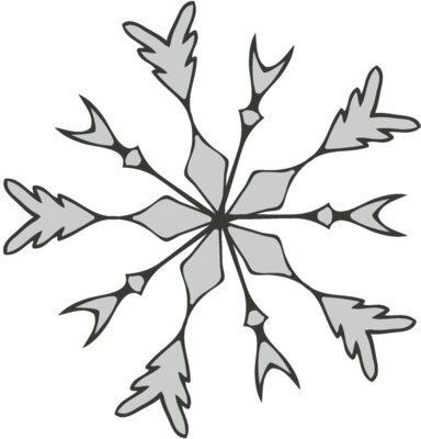 Snowflake ME 4