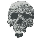 Skull 49