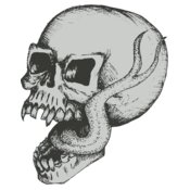 Stylized Skull 11